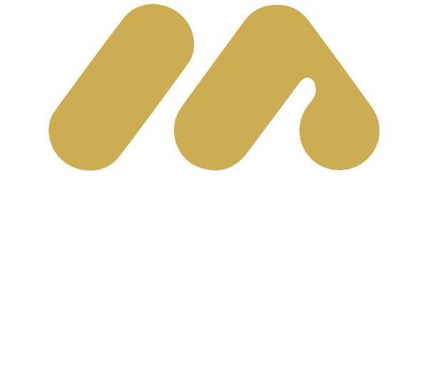 מטרופוליס התחדשות עירונית